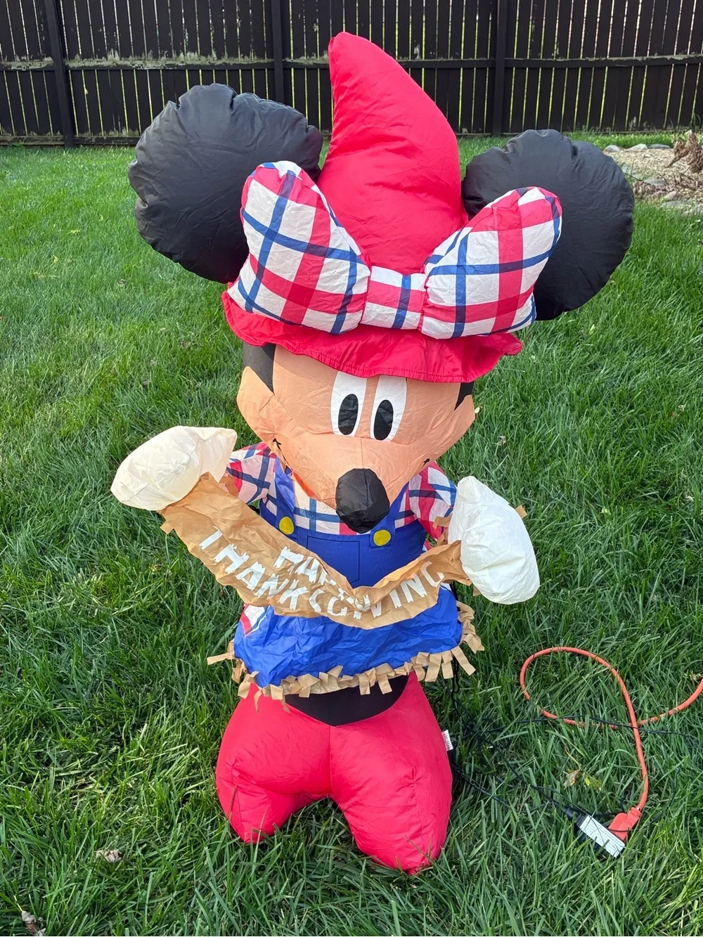 Disney Minnie Mouse “Happy Thanksgiving” Airblown Inflatable Scarecrow 3.5” Tall